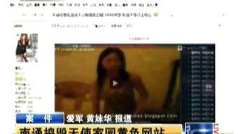 国产很黄特级视频播放,揭秘“很黄特级”视频背后的秘密与影响
