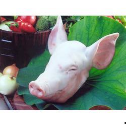 国产精修猪头到货视频,工艺精湛，品质保证