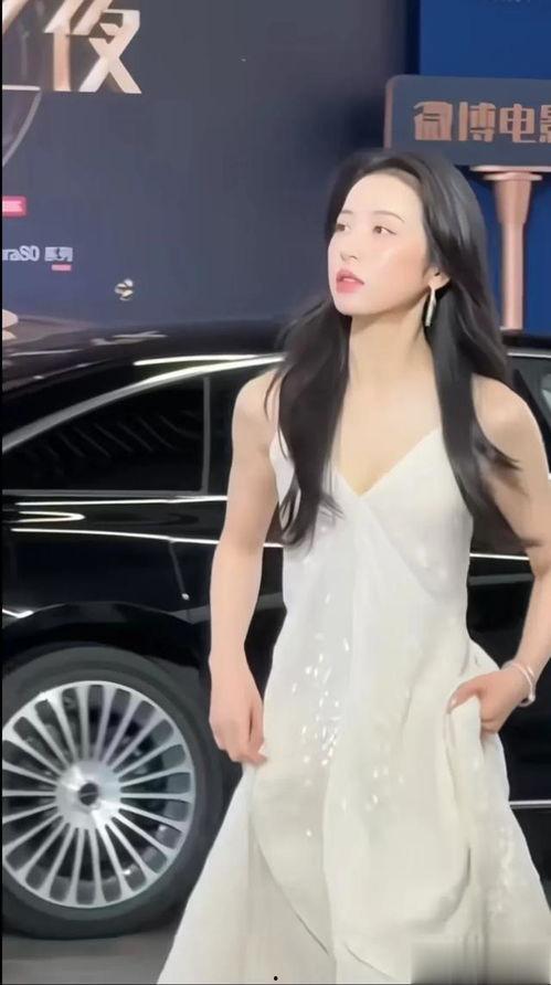 国产cdts视频,探索中国科技发展的新篇章