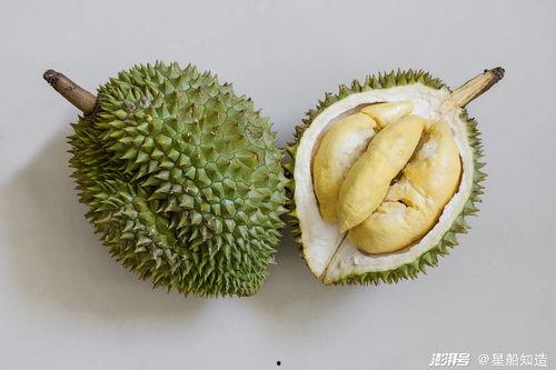 国产榴莲视频appios在线,带你领略热带风情