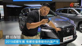 关于国产车车展的视频,创新科技与民族品牌的辉煌亮相