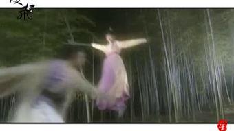 国产情侣双飞视频,双飞之旅的浪漫揭秘