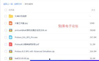 51论坛国产在线视频,51论坛引领潮流