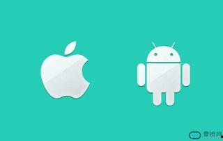 国产青蛙系统视频,探索创新科技与本土化发展的新篇章