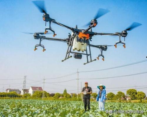国产无人机打药视频播放,农业科技新篇章