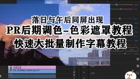 国产Vs视频免费视频,揭秘视频平台内容生态战