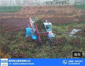 国产水草打捞视频大全,视频大全中的自然之美与人工智慧