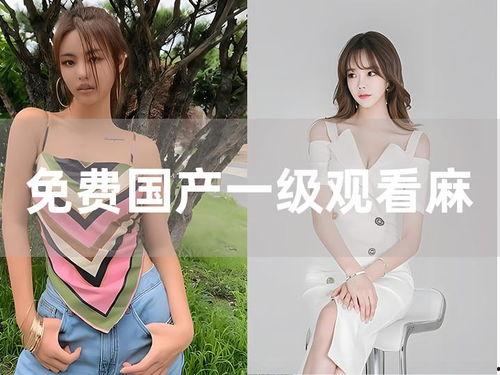 国产调教小依哀羞视频,一场别开生面的情感之旅