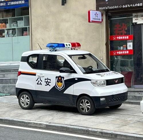 国产金牛座警车视频下载