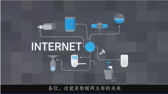 国产物联网视频,引领智慧生活新篇章