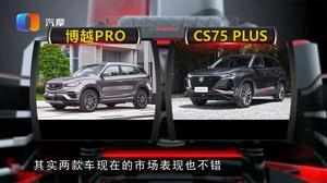 国产车热门视频软件,热门视频软件揭秘热门车型与驾驶体验